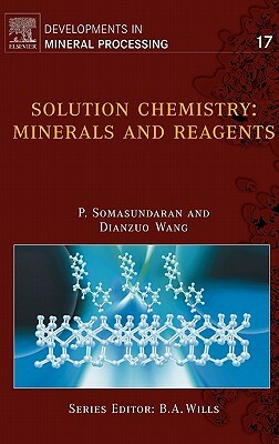 Solution Chemistry: Minerals and Reagents by P. Somasundaran, Dianzuo Wang