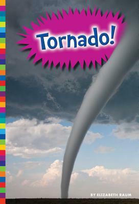 Tornado! by Elizabeth Raum