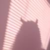 redroots04's profile picture