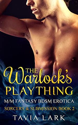 The Warlock's Plaything by Tavia Lark