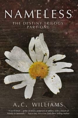 Nameless: The Destiny Trilogy Part One by A. C. Williams