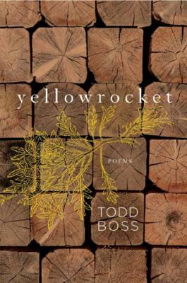 Yellowrocket by Todd Boss
