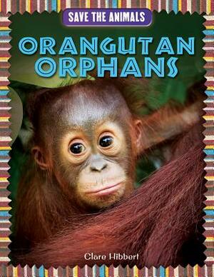 Orangutan Orphans by Clare Hibbert