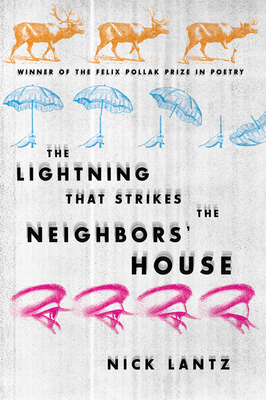 Lightning That Strikes the Neighbors' House by Nick Lantz