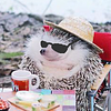 book_kid's profile picture