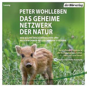 Das geheime Netzwerk der Natur by Peter Wohlleben