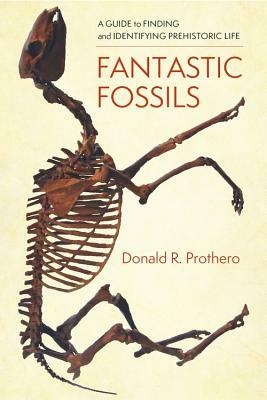Fantastic Fossils: A Guide to Finding and Identifying Prehistoric Life by Donald R. Prothero