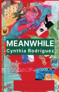 Meanwhile by Cynthia Rodríguez