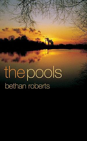 The Pools by Bethan Roberts