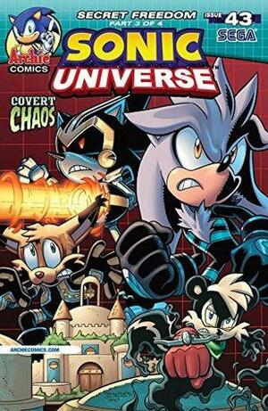 Sonic Universe #43 by Ian Flynn