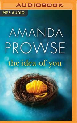 The Idea of You by Amanda Prowse