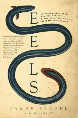 Eels: An Exploration, from New Zealand to the Sargasso, of the World's Most Mysterious Fish by James Prosek