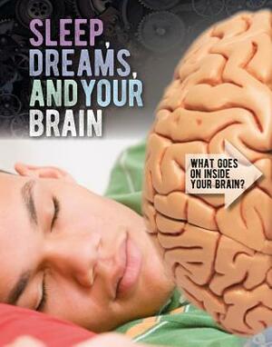 Sleep, Dreams, and Your Brain by Robert Snedden