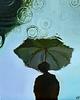 saragondin's profile picture