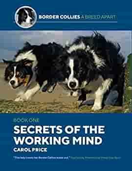 Secrets Of The Working Mind by Carol Price