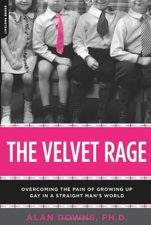 Velvet Rage by Alan Downs