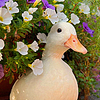 brigtter's profile picture