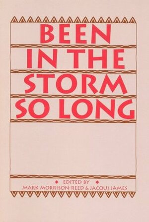 Been in the Storm So Long: A Meditation Manual by Mark D. Morrison-Reed