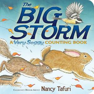 The Big Storm: A Very Soggy Counting Book by Nancy Tafuri