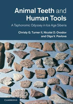 Animal Teeth and Human Tools: A Taphonomic Odyssey in Ice Age Siberia by Nicolai D. Ovodov, Christy G. Turner II, Olga V. Pavlova