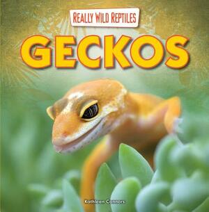 Geckos by Kathleen Connors