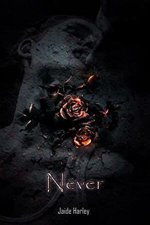 Never by Jaide Harley