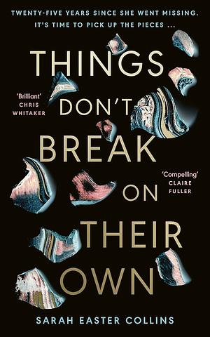 Things don't break on their own by Sarah Easter Collins