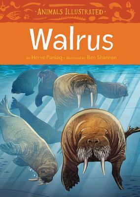 Animals Illustrated: Walrus by Herve Paniaq