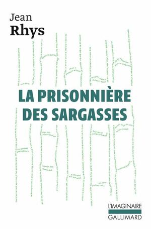 La prisonnière des Sargasses by Jean Rhys