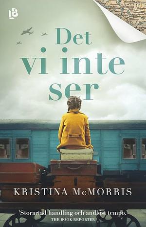 Det vi inte ser by Kristina McMorris