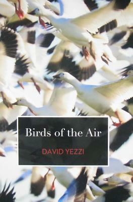 Birds of the Air by David Yezzi