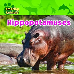 Hippopotamuses by Christina Wilsdon