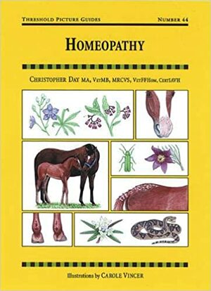 Homeopathy: Threshold Picture Guide No 44 by Carole Vincer, Christopher Day
