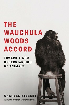 The Wauchula Woods Accord: Toward a New Understanding of Animals by Charles Siebert