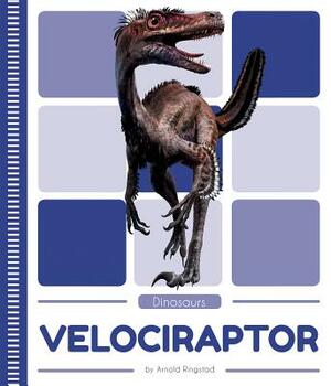 Velociraptor by Arnold Ringstad