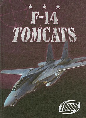 F-14 Tomcats by Jack David