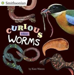 Curious about Worms by Kate Waters