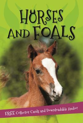 It's All About... Horses and Foals by Kingfisher Books