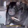 hillmrtnz's profile picture