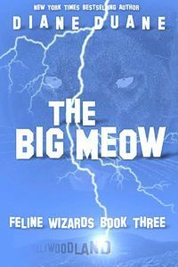 The Big Meow by Diane Duane