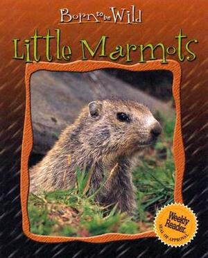 Little Marmots by Anne Royer