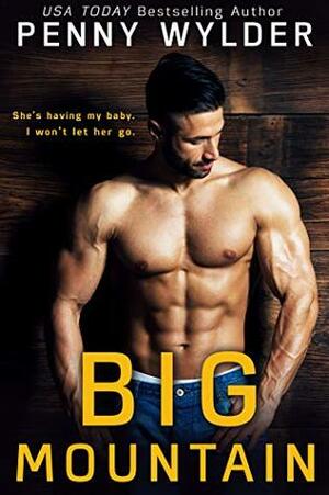 Big Mountain: A Secret Baby Romance by Penny Wylder