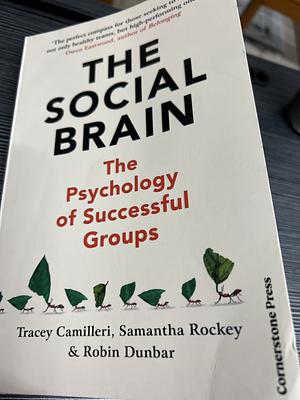 The Social Brain: The Psychology of Successful Groups by Tracey Camilleri