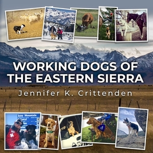Working Dogs of the Eastern Sierra by Jennifer K. Crittenden
