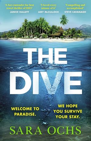 The Dive by Sara Ochs