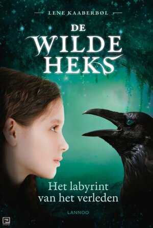 Het labyrint van het verleden by Lene Kaaberbøl