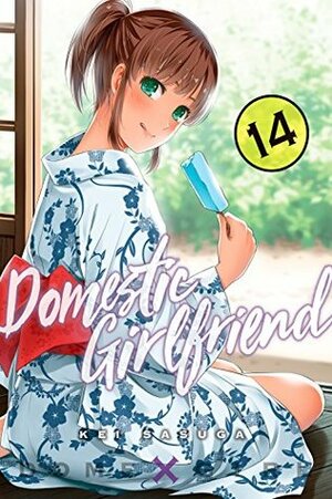 Domestic Girlfriend Vol. 14 by Kei Sasuga, Adam Hirsch