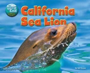 California Sea Lion by Jen Green