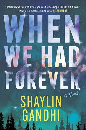 When We Had Forever: An Emotional Romance with a Twisty Mystery, Perfect for Fall 2024, Uncover the Secrets of Love and Loss by Shaylin Gandhi, Shaylin Gandhi