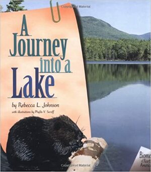 A Journey Into a Lake by Rebecca L. Johnson